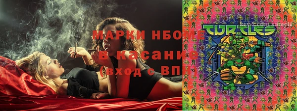 СК Пересвет