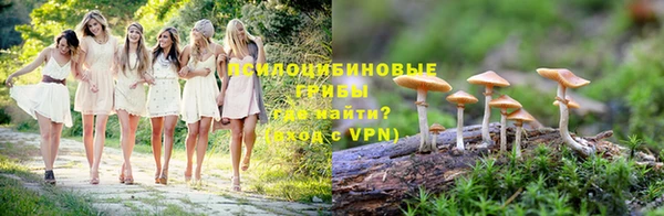прущая мука Переславль-Залесский